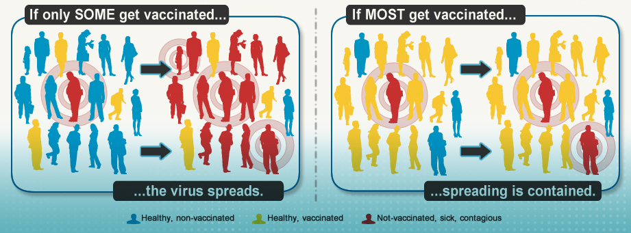 The Importance of Immunizations