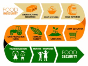 Healthy Mendocino :: Resource Library :: Food Insecurity
