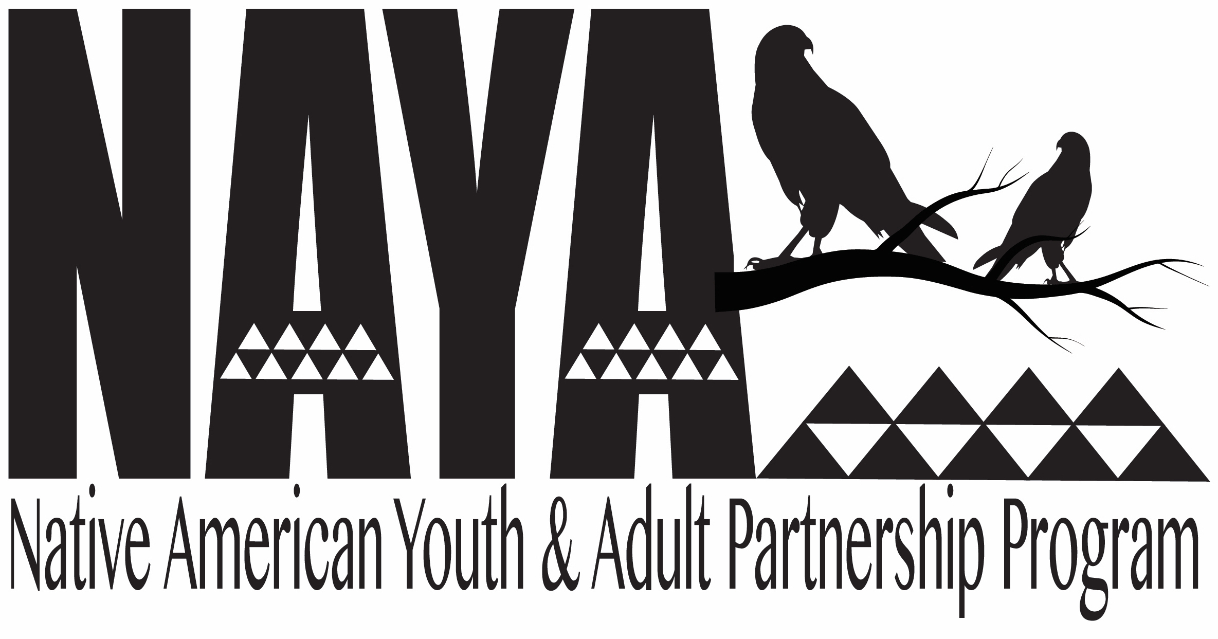 Native American Youth and Adult Partnership Program